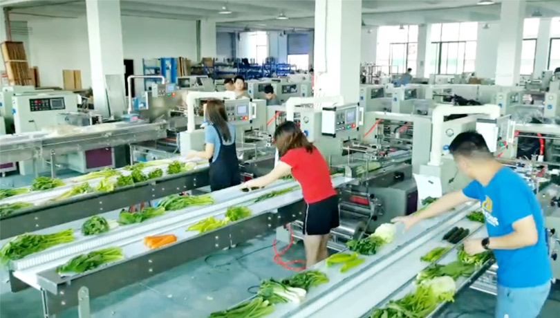 Machine d'emballage d'oreillers de légumes efficace